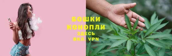 крисы Аркадак