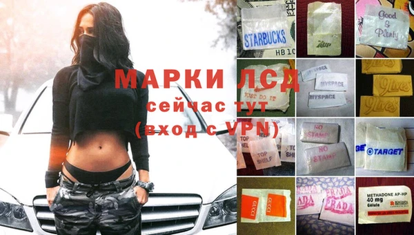 сатива Галич