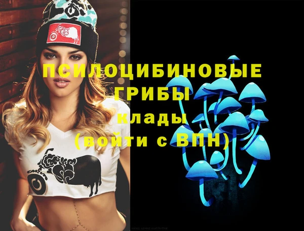 тгк Арсеньев