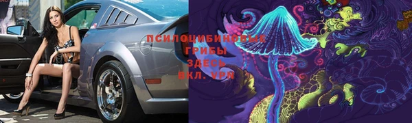 крисы Аркадак