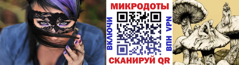 Галлюциногенные грибы Psilocybine cubensis  Камбарка 